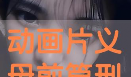 义母动漫在线,穿越时空的母爱传奇